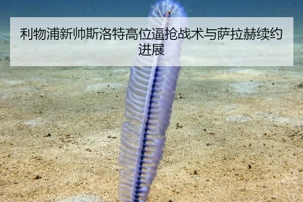 利物浦新帅斯洛特高位逼抢战术与萨拉赫续约进展